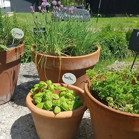 Vintage House Am Faaker Seebach Finkenstein am Faaker See